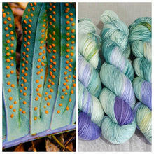 Load image into Gallery viewer, A Delicate Balance (Fledgling 4ply Sock - SW Merino / Nylon) (Dyed as Ordered if Not in Stock)