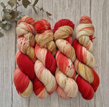 Load image into Gallery viewer, Cranberry Swirl (Fledgling 4ply Sock - SW Merino / Nylon)