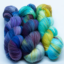 Load image into Gallery viewer, Remnants