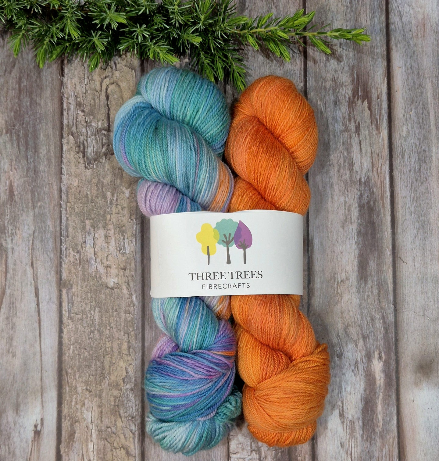 Perfect Pairing - Citrus Burst / Delight (Fledgling 4ply Sock)