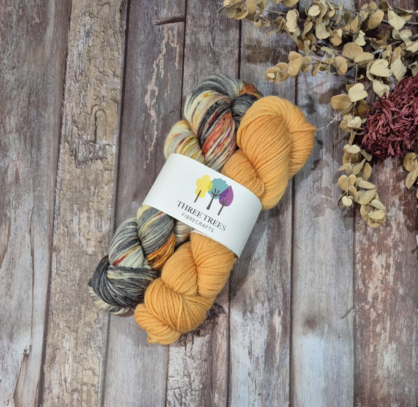 Perfect Pairing - Golden Browed Resin Bee / Papaya (Baa-Ram-Ewe 8ply DK - SW Merino)