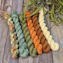 Load image into Gallery viewer, May Gibbs Collection Preorder Mini Set (Fledgling 4ply Sock - SW Merino / Nylon)
