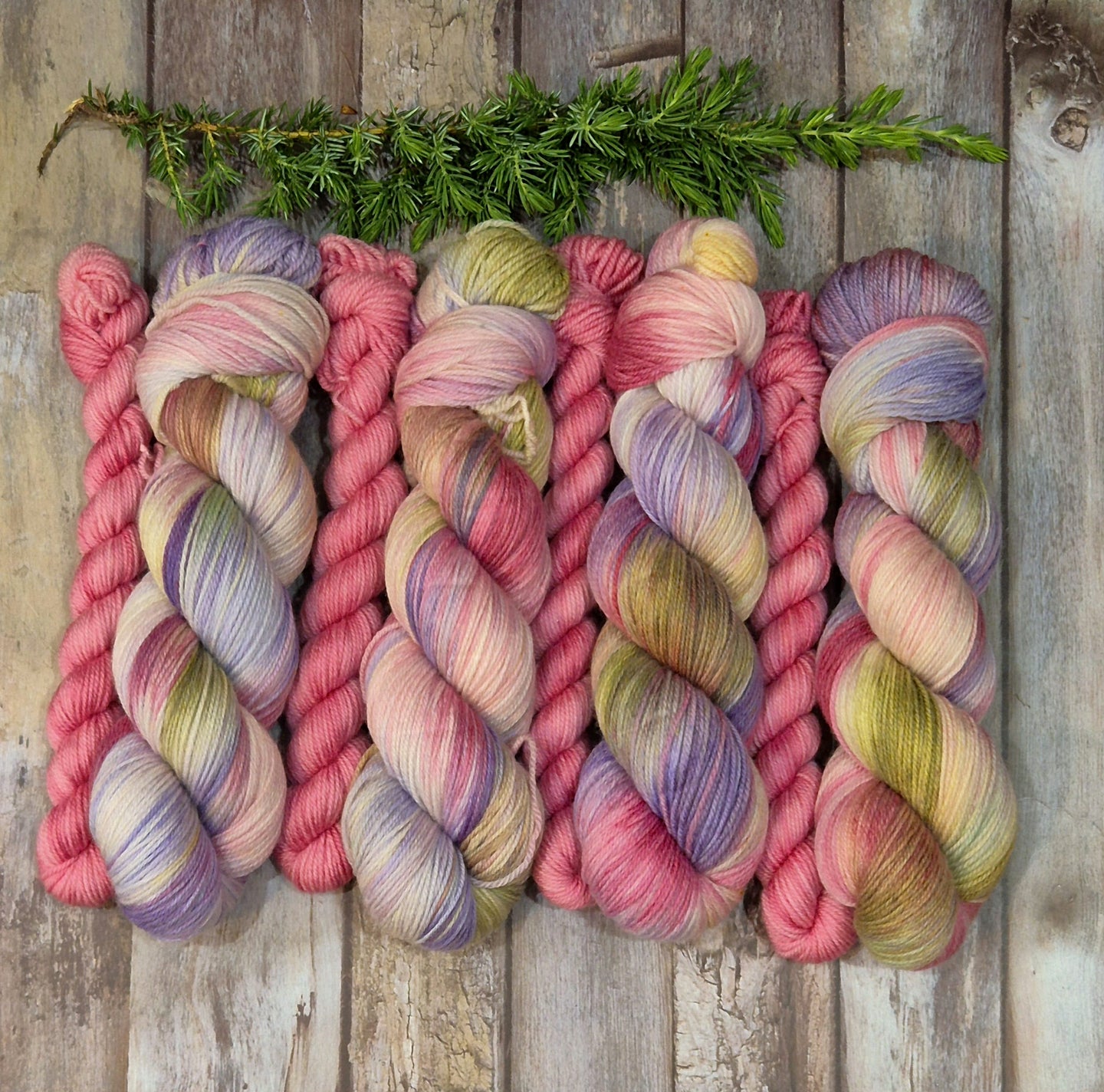 The Perfume of Kindness Sock Set (Fledgling 4ply Sock - SW Merino / Nylon)