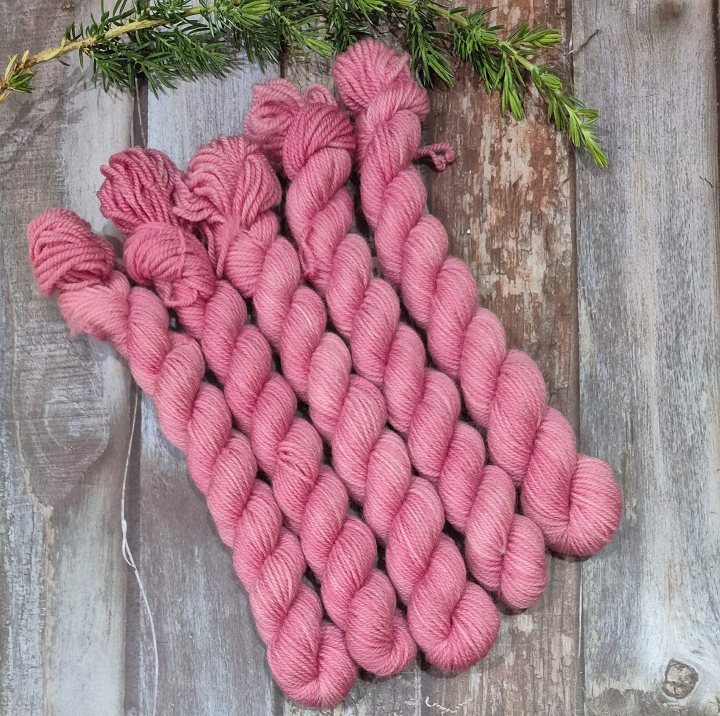 Bellisimo (Fledgling 4ply Sock - SW Merino / Nylon)