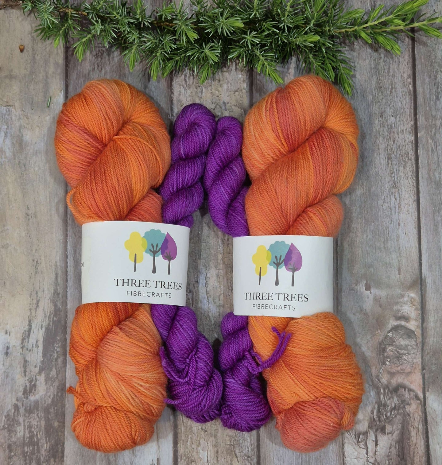 Burst Sock Set (Fledgling 4ply Sock - SW Merino / Nylon)