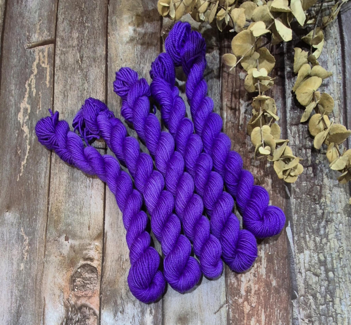 Crocus (Fledgling 4ply Sock - SW Merino / Nylon)