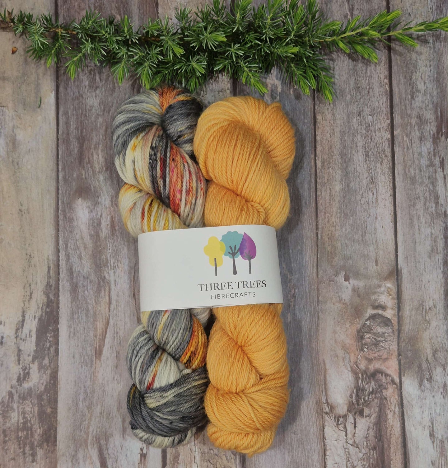 Perfect Pairing - Golden Browed Resin Bee & Papaya (Baa-Ram-Ewe 8ply DK - SW Merino)
