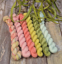 Load image into Gallery viewer, May Gibbs Collection Preorder Mini Set (Fledgling 4ply Sock - SW Merino / Nylon)
