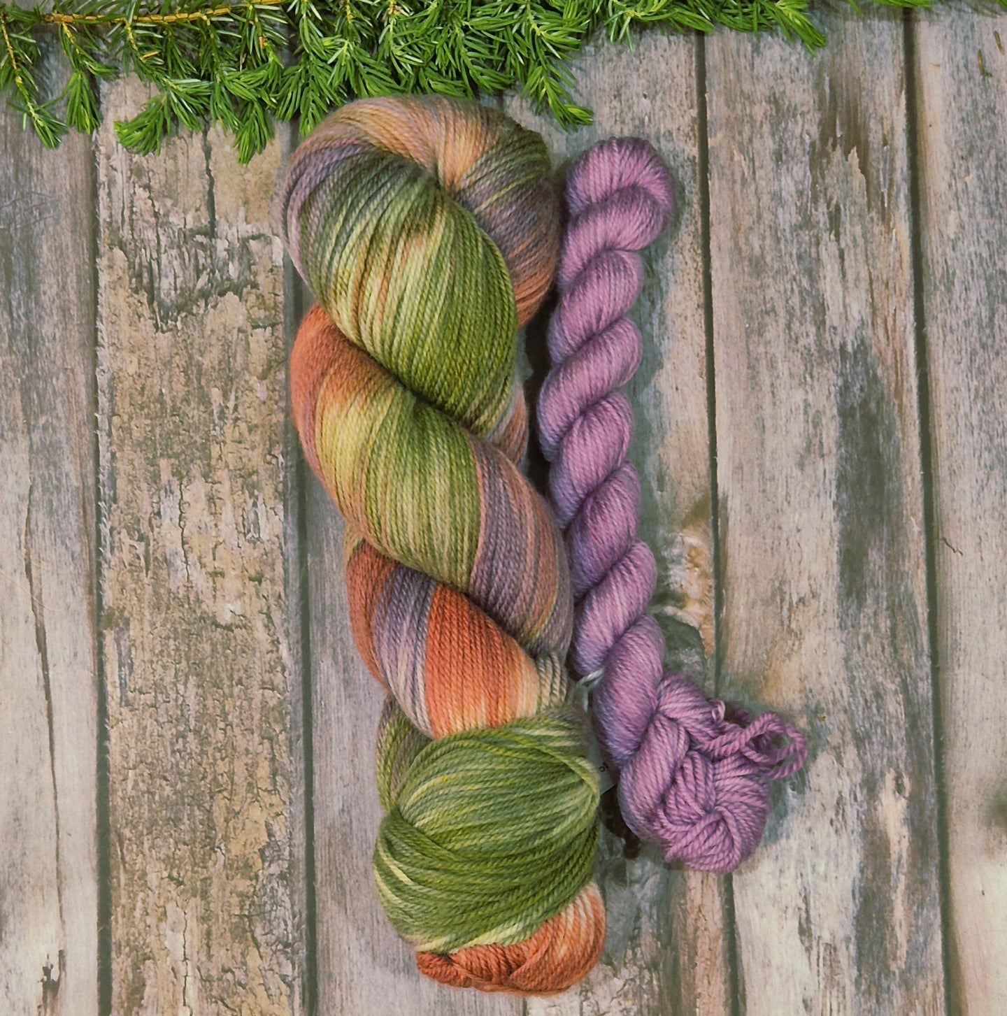 Hellebore & Heliotrope Sock Set (Fledgling 4ply Sock - SW Merino / Nylon)