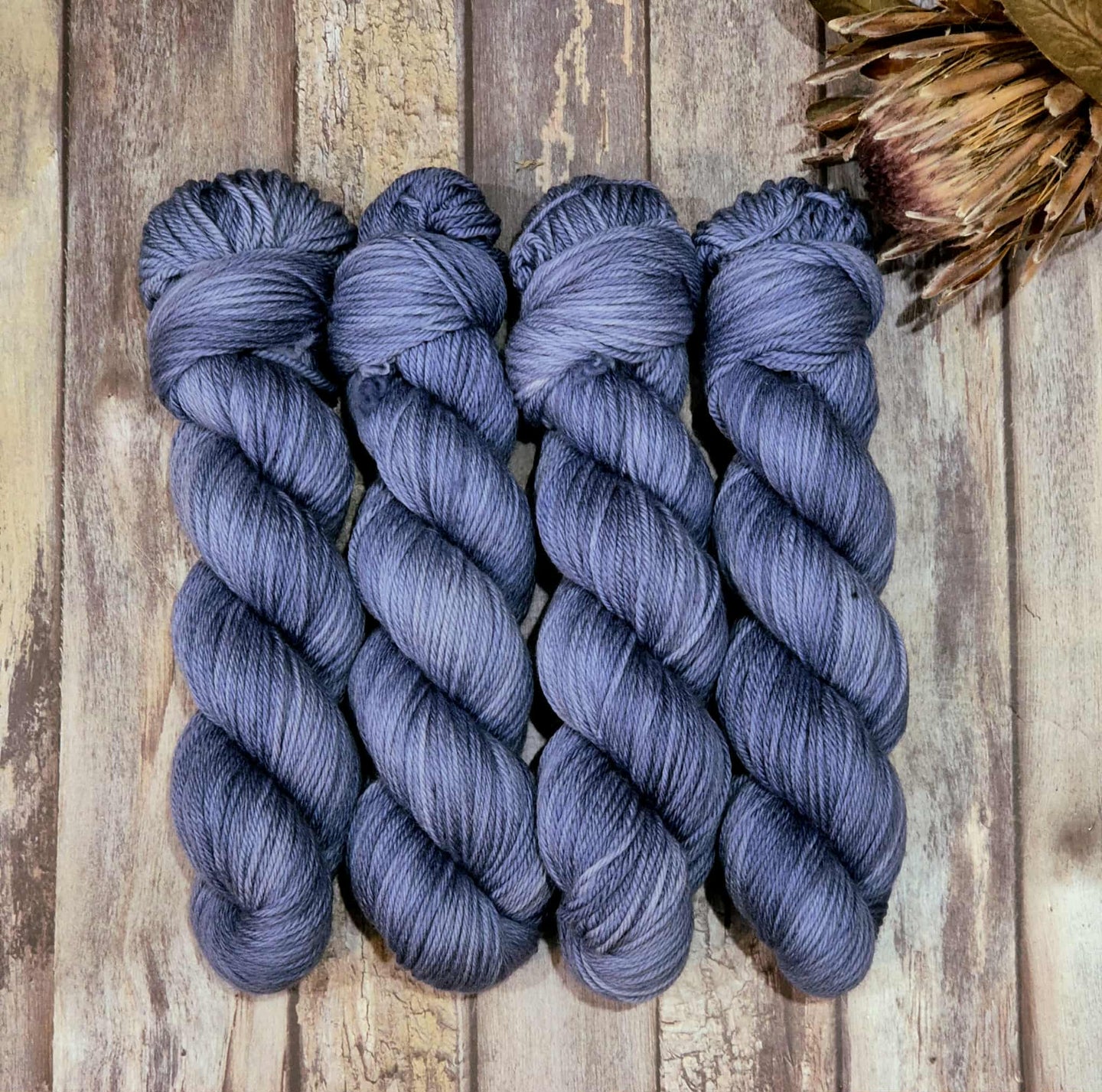 Kaiho (Baa-Ram-Ewe DK - SW Merino)