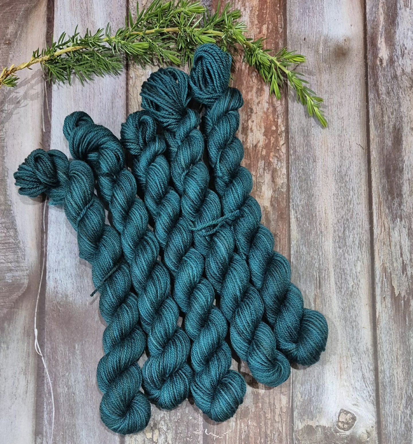 Kelp Bed (Fledgling 4ply Sock - SW Merino / Nylon)