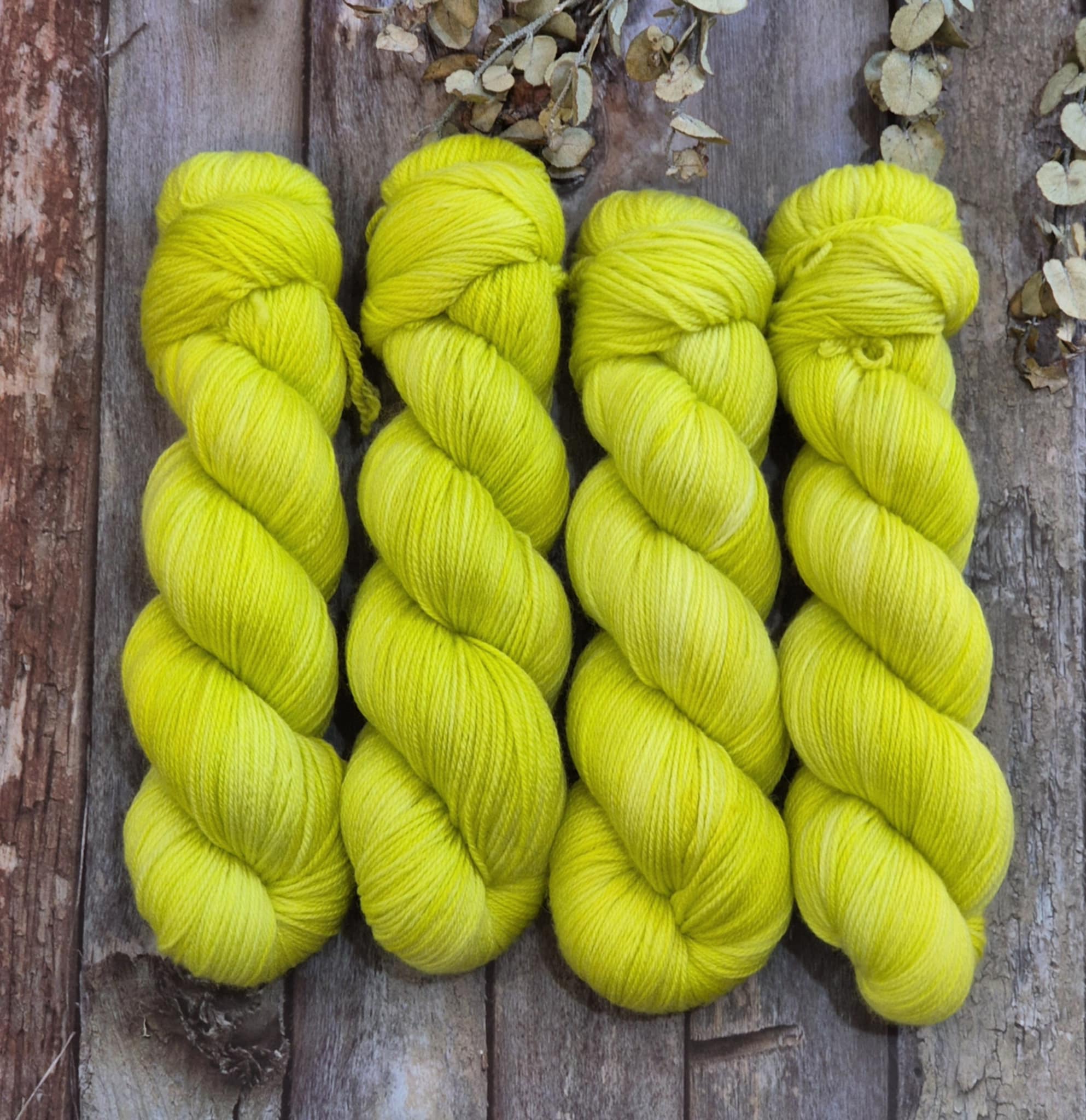 Lime Light (Fledgling 4ply Sock) (TYP)