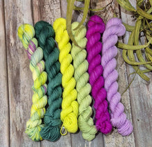 Load image into Gallery viewer, May Gibbs Collection Preorder Mini Set (Fledgling 4ply Sock - SW Merino / Nylon)

