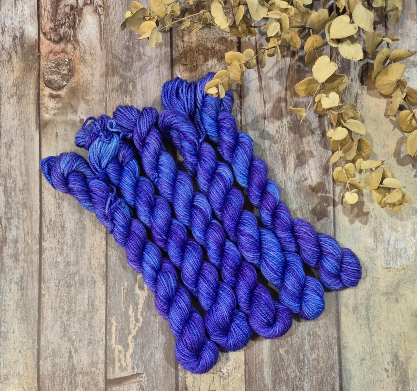 Loyal Friend (Fledgling 4ply Sock - SW Merino / Nylon)