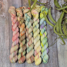 Load image into Gallery viewer, May Gibbs Collection Preorder Mini Set (Fledgling 4ply Sock - SW Merino / Nylon)
