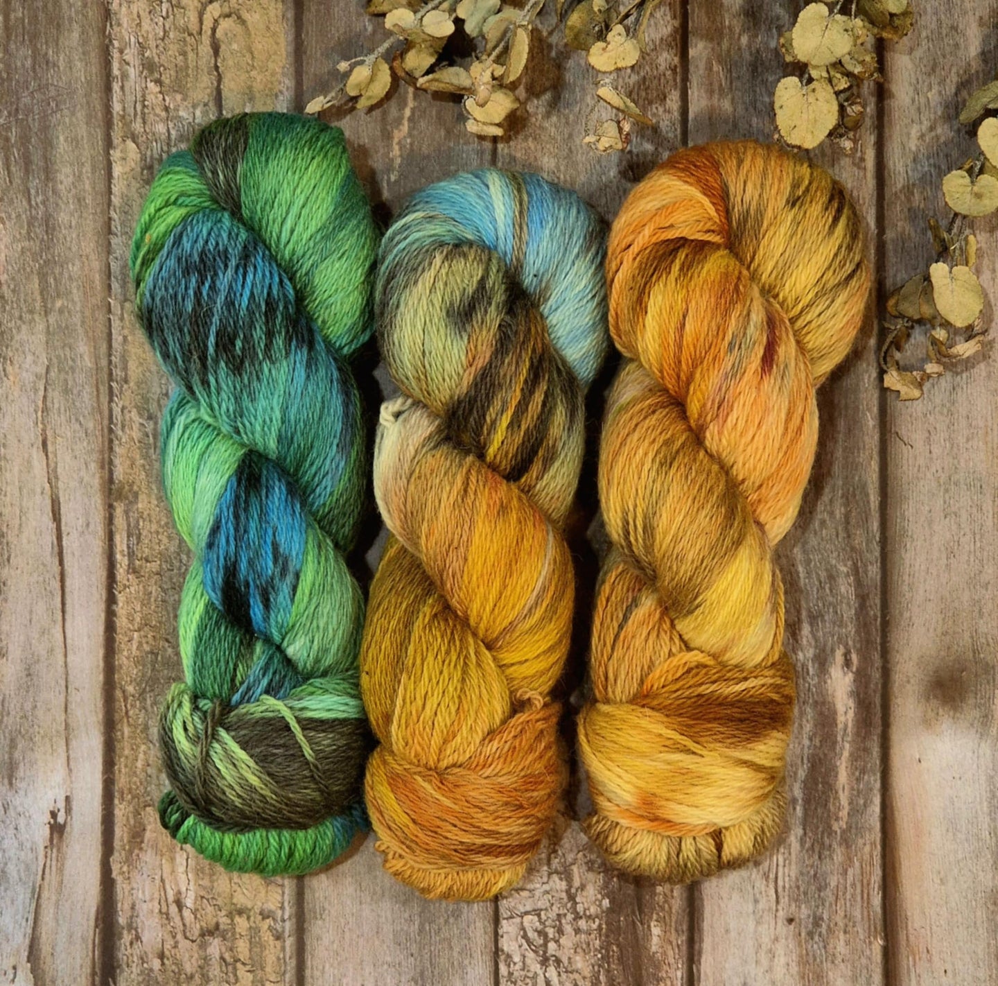 Native Bee (Three Trees Shed- Light DK) 3 Skein Gradient