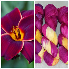 Load image into Gallery viewer, Midsummer Nightingale (Assigned Pooling) (Dyed as Ordered if Not in Stock)
