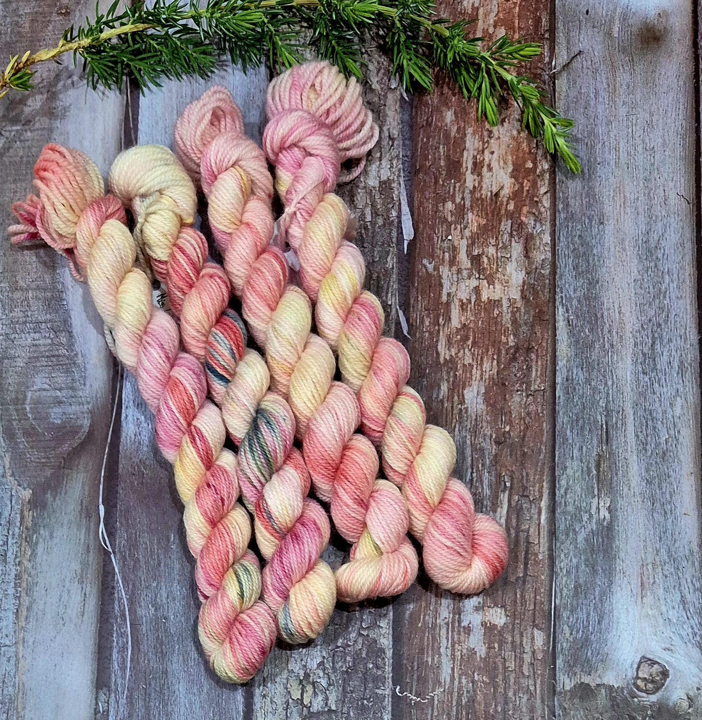 Miss Lilly Pilly (Fledgling 4ply Sock - SW Merino / Nylon)