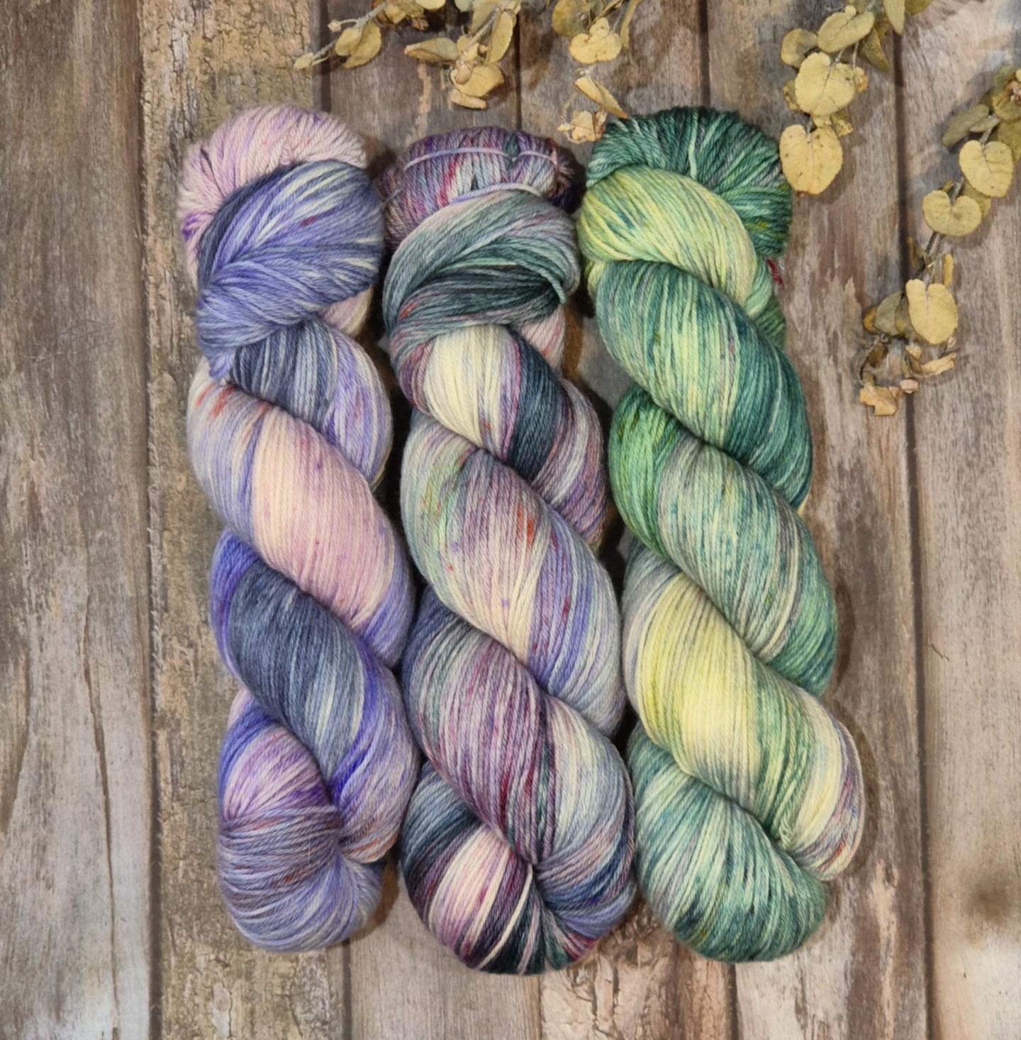 Monet's Garden - 3 Skein Gradient Set (Capra 4ply)