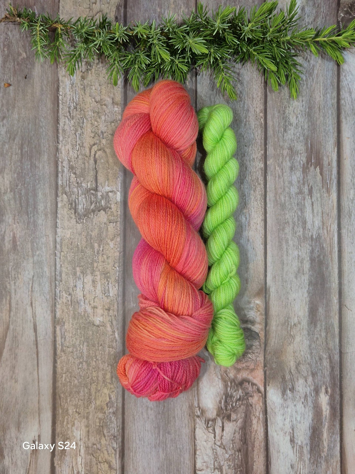 A Caterpillar Ate My Dahlia Sock Set (Fledgling 4ply Sock - SW Merino / Nylon)