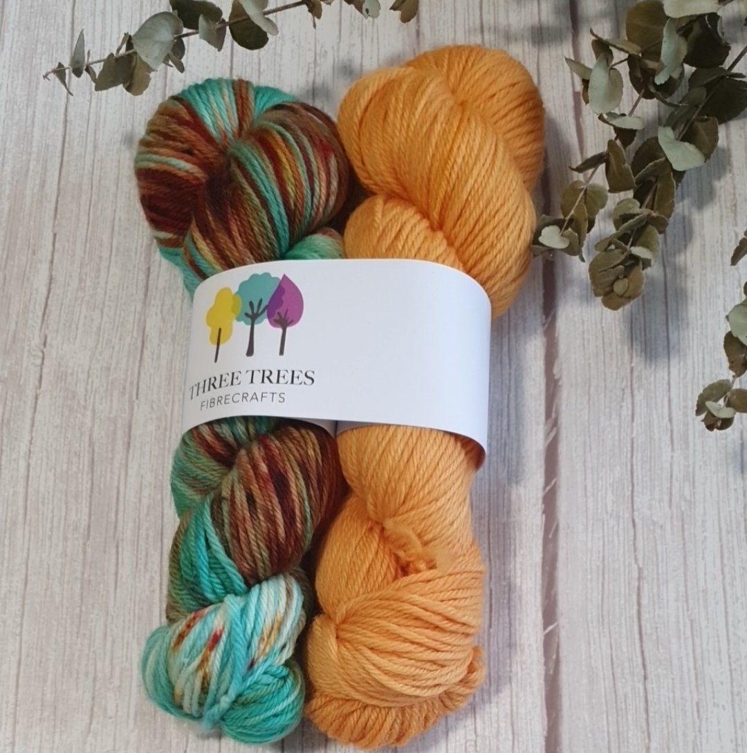 Perfect Pairing - Zig Zag Noctuid Moth / Papaya (Baa-Ram-Ewe 8ply DK)