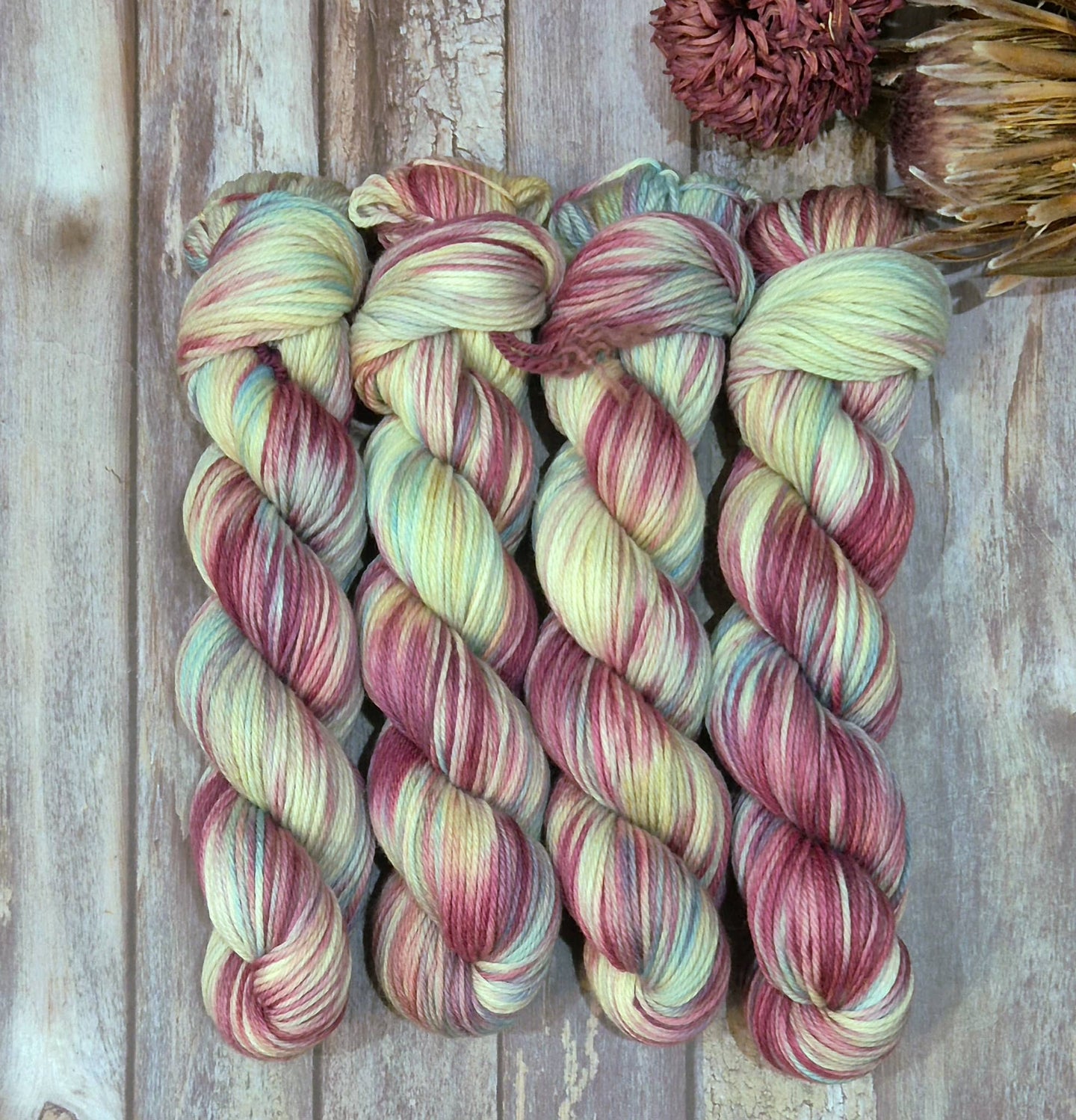 Pretty Unusual (Baa-Ram-Ewe DK - SW Merino)