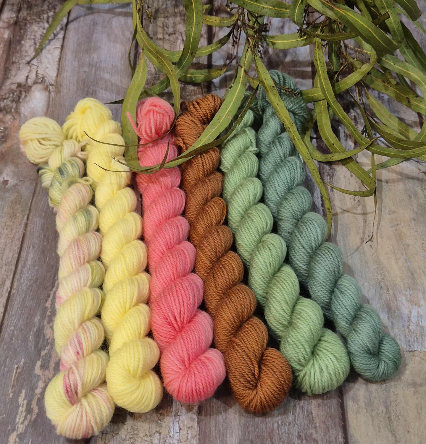 Ragged Blossom & the Picture Gallery - Mini Set (Fledgling 4ply Sock - SW Merino / Nylon)
