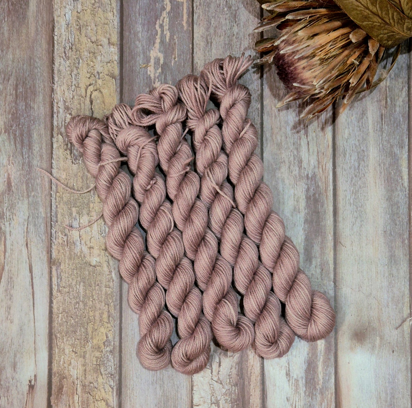 Seaberry (Fledgling 4ply Sock - SW Merino / Nylon)