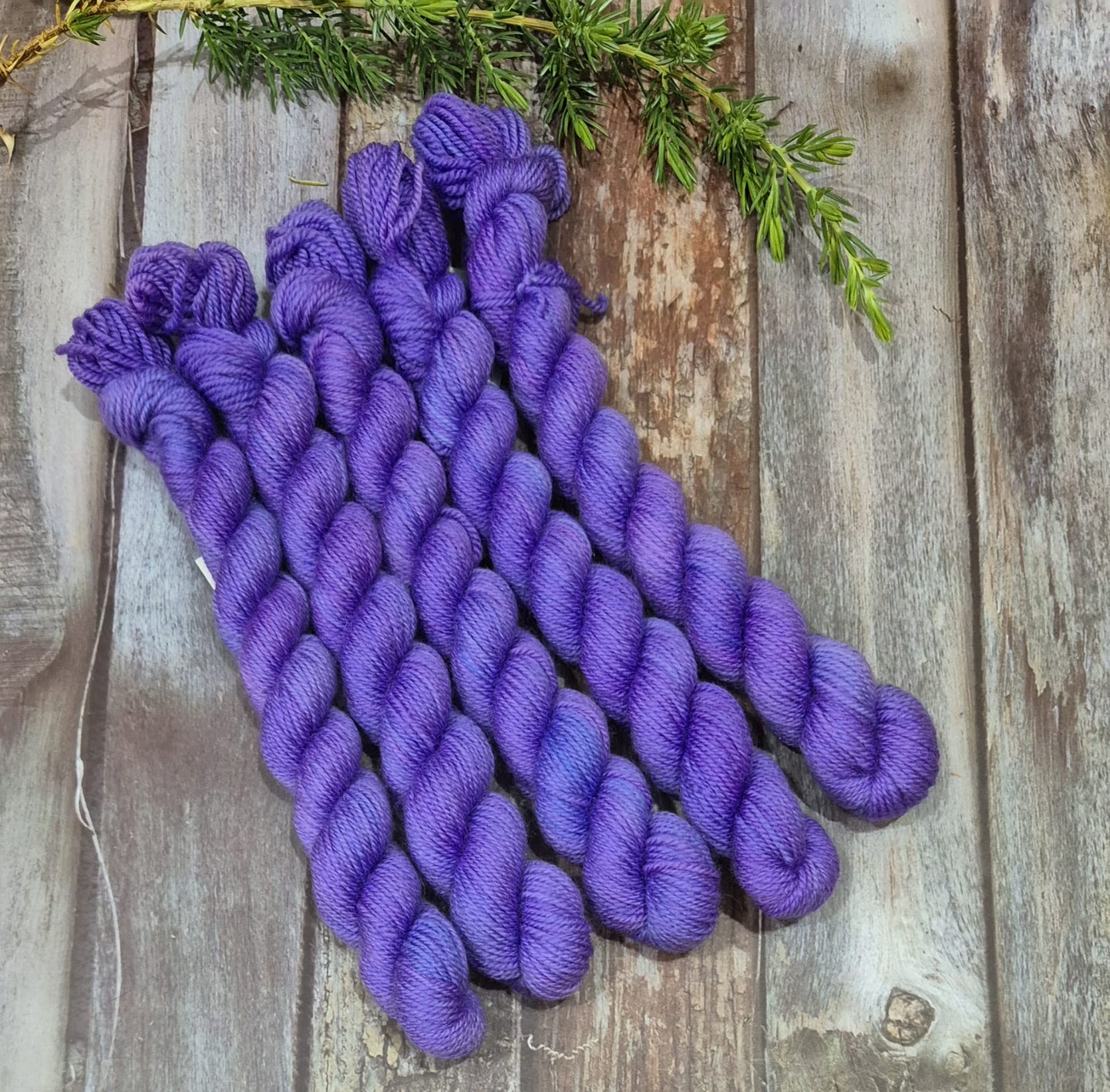 Ultraviolet (Fledgling 4ply Sock - SW Merino / Nylon)
