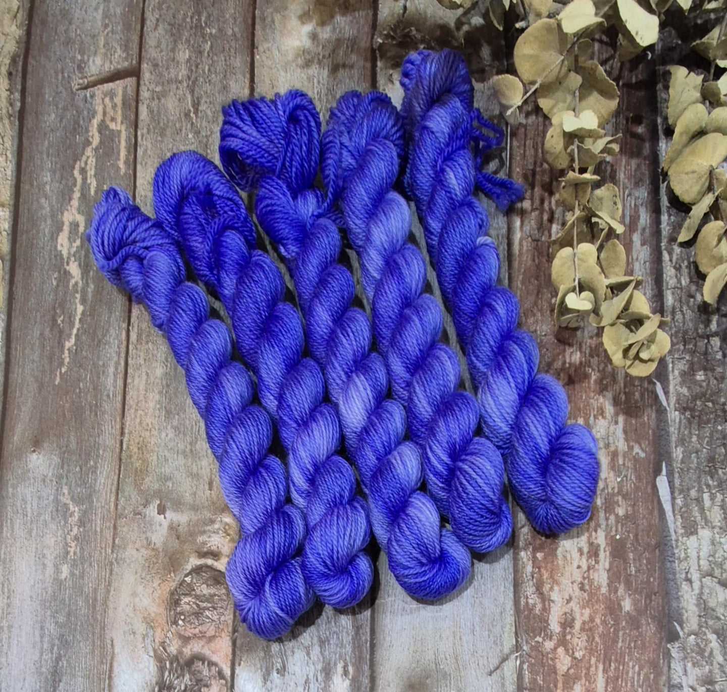 Wild Violets (Fledgling 4ply Sock - SW Merino / Nylon)