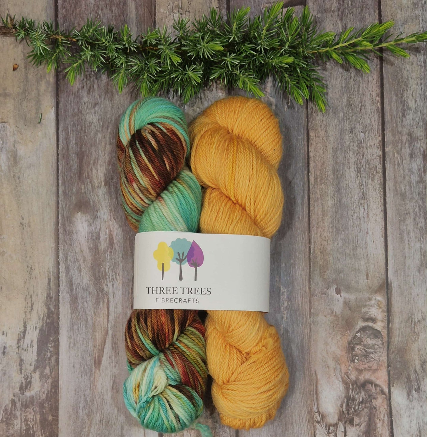 Perfect Pairing - Zig Zag Noctuid Moth & Papaya (Baa-Ram-Ewe 8ply DK)