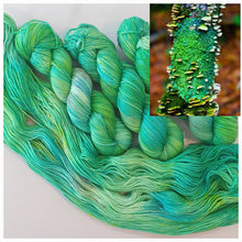 Load image into Gallery viewer, Light Me Up Lichen (Fledgling 4ply Sock)
